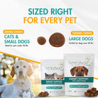 AminAvast Small Dogs & Cat Kidney Support - Promotes Healthy Kidney Support in Cats & Small Dogs - 300mg (60 Chews)
