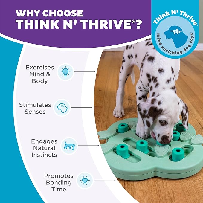 Outward Hound by Nina Ottosson Puppy Hide N' Slide Treat Puzzle Enrichment Dog Toy, Green