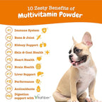 Zesty Paws 10-in-1 Dog Multivitamin Powder - Gut, Immune, Joint, Skin & Coat Support, and More - Dog Vitamins and Supplements Powder - Pet Supplements with Omega Fish Oil & VitaFiber - Salmon - 30 Ct