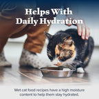 Blue Buffalo Wilderness Natural High-Protein Grain-Free Wet Food for Adult Cats, Duck Paté, 3-oz. Cans, 24 Count