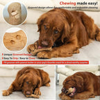 Willjoy 2-Pack Dog Chew Toys for Aggressive Chewers, Pine Wood & Tough Nylon, Bone Shaped Indestructible Dog Toy, Natural Looking Grooves & Textured, Bacon Flavor Large Dog Toys to Keep Them Busy