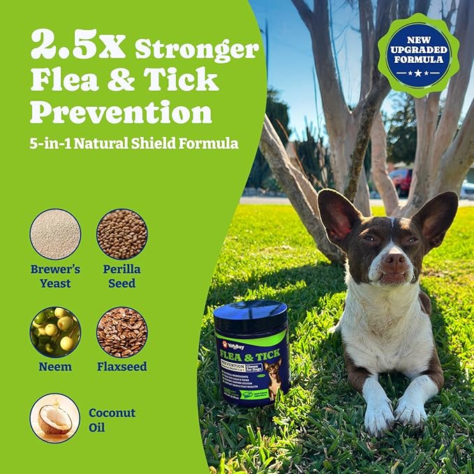 Flea & Tick Prevention for Dogs Chewables, YoYoBay Natural Dog Fleas and Ticks Control Supplement, Dogs Supplement, Natural Shield 5-in-1 Protection, Bacon & Sweet Potato Flavor, 180 Soft Chews