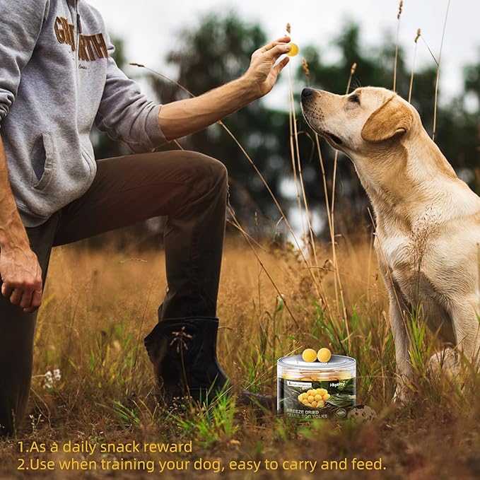 Freeze Dried Cat and Dog Treats Quail Egg Yolk, Healthy Tasty Snacks for Cats Dogs Training, Natural Freeze-Dried Limited Ingredient,Wholesome and Delicious Snacks for Pets (S, Quail)