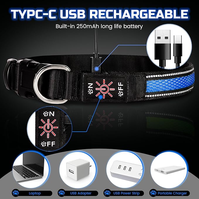 Light Up Dog Collar Rechargeable, LED Glow Collar in Dark with 3 Flash Mode for Outdoor Night Walking Visible Safe, Adjustable Waterproof Dog Light for Small Medium Large Breed, Blue, L