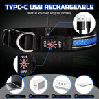 Light Up Dog Collar Rechargeable, LED Glow Collar in Dark with 3 Flash Mode for Outdoor Night Walking Visible Safe, Adjustable Waterproof Dog Light for Small Medium Large Breed, Blue, L