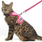 PUPTECK Cat Harness and Leash Set Escape Proof, Reflective Adjustable Soft Mesh Kitten Vest Harness for Walking Travel, Pink, M
