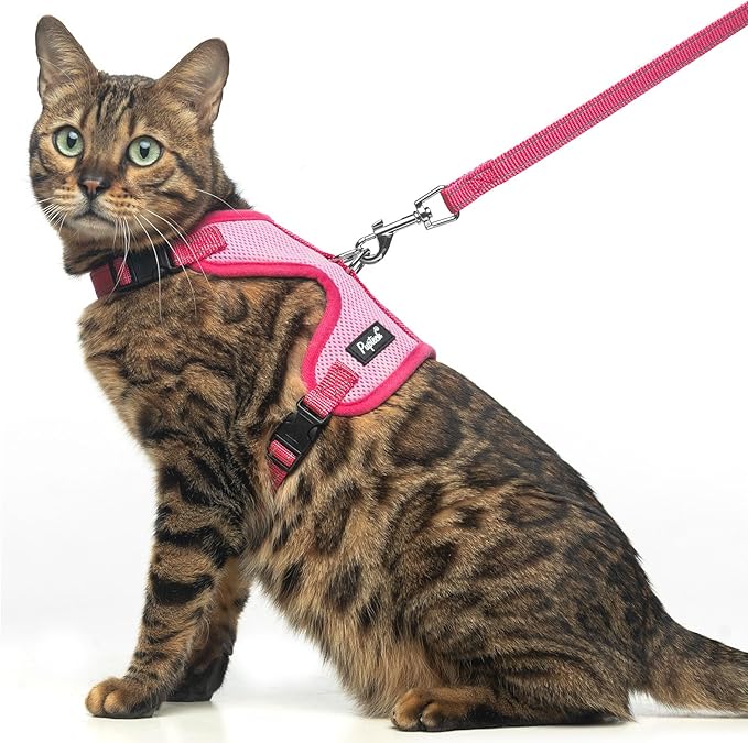 PUPTECK Cat Harness and Leash Set Escape Proof, Reflective Adjustable Soft Mesh Kitten Vest Harness for Walking Travel, Pink, M