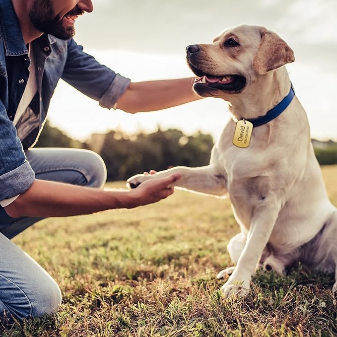Frienda 60 Pieces Colorful Blank Dog Tags Hand Personalized Blank ID Tags Aluminum Round Dog Bone Shape Pet ID Stamping Discs with Hole for Cats Pets Name Craft