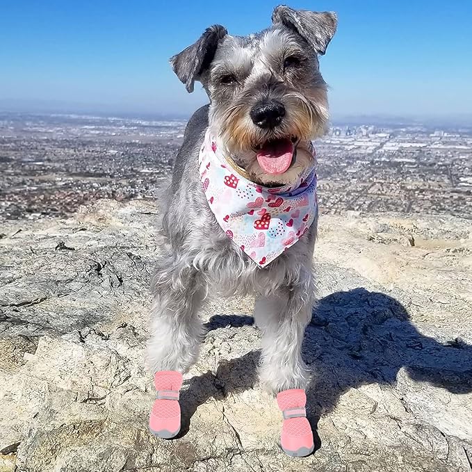QUMY 4PCS Dog Shoes for Small Dogs, Hot Pavement Summer Puppy Dog Boots & Paw Protectors with Soft Anti-Slip Rubber Sole, Mesh Breathable Dog Booties for Hardfloors, Walking Running Pink Size 4