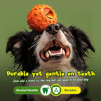 Dog Puzzle Toy 2 Pack – Cognitive Dog Treat Toy,Interactive Dog Toys for Treat Dispensing, Slow Feeder for Mental Stimulation & Anxiety Relief, Puppy Training Toy, Natural Rubber