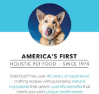 Solid Gold Wet Dog Food for Adult & Senior Dogs - Made with Real Chicken & Salmon - Leaping Waters Grain Free Canned Dog Food for Healthy Digestion & Sensitive Stomach
