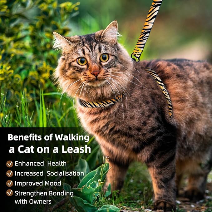 Cat Harness and Leash Escape Proof (S)