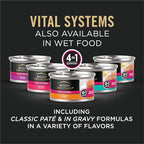 Purina Pro Plan Vital Systems Chicken and Egg Formula 4-in-1 Adult Dry Cat Food - 5 lb. Bag