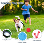 2 Pack Indestructible Squeaky Dog Balls for Aggressive Chewers, Durable Rubber Chew Toys for Teething, Anxiety Relief Perfect for Large, Medium Breeds, Indoor Outdoor Use