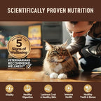 Wellness CORE+ Digestive Health Pate Adult Wet Cat Food, Natural, Protein-Rich, Grain Free, 3 Ounce, 12 Pack (Chicken & Turkey Variety Pack)