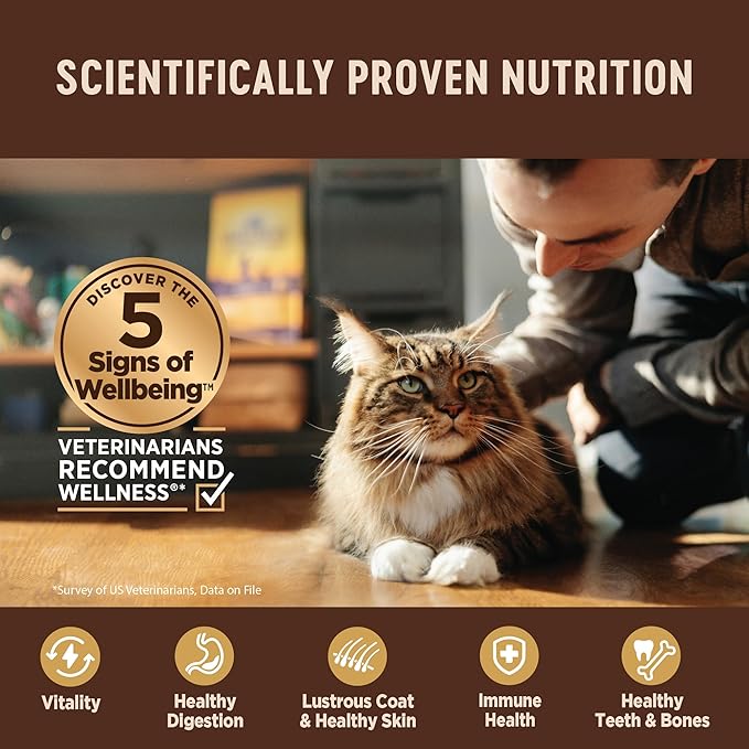 Wellness CORE Pate Kitten Wet Cat Food, Natural, Protein-Rich, Grain Free, 3 Ounce, 12 Pack (Chicken & Salmon)