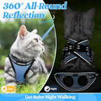 rabbitgoo Cat Harness and Leash Set for Walking Escape Proof, Adjustable Soft Kittens Vest with Reflective Strip for Cats, Comfortable Outdoor Vest, Light Blue, L