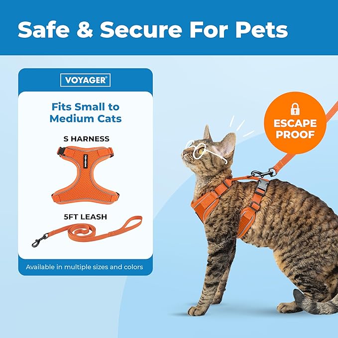 Voyager Escape-Proof Step-in Lock Cat Harness & 5ft Neoprene-Handle Leash Set All-Weather Mesh with Reflective Stitching for Small to Large Cats by Best Pet Supplies, Orange (327), S