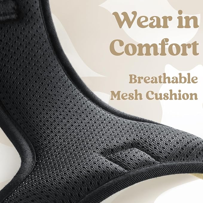 rabbitgoo Dog Harness Small Sized, No Pull Pet Harness with 3 Buckles, Adjustable Soft Padded Vest with Control Handle, Walking Reflective Pet Vest for Small Dogs, Beige, S