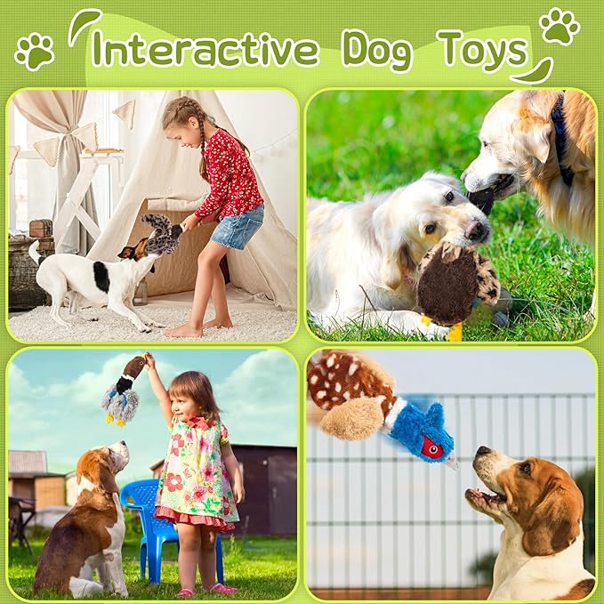 Dog Squeaky Toy Set – 4-Pack Durable Plush Duck, Pheasant, Goose for Small and Medium Dogs – Soft Bird Chew Toys with Crinkle Sound for Puppy Play, Interactive Training