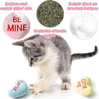 MALLMALL6 5Pcs Sweet Conversation Heart Catnip Toys Gift for Cat, Indoor Kitten Chew Bite Kick Candy Catmint Pet Supplies, Cute Interactive Cat Toy for Pet Presents