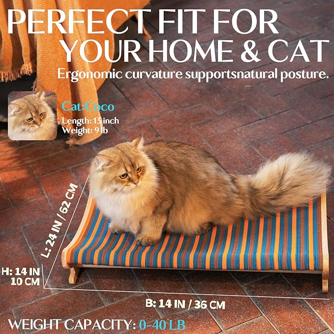 DIY Felt Cat Scratcher Bed, Durable Scratching Pad for Indoor Cats, Sturdy Solid Beech Wooden Cats Scratcher, Lounger & Sleep & Scratch (Extra-Larger), Brown