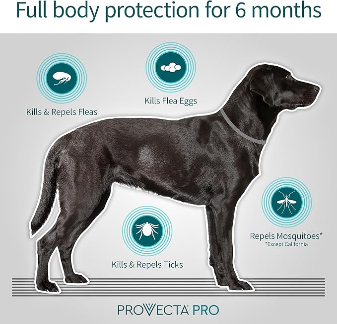 Provecta® PRO Flea & Tick Collar for Dogs