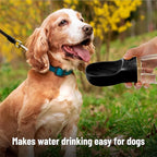 Mr. Pen- Dog Water Bottle, 19 oz, Large, Black, Portable Dog Water Bottle Dispenser, Not Dishwasher Safe