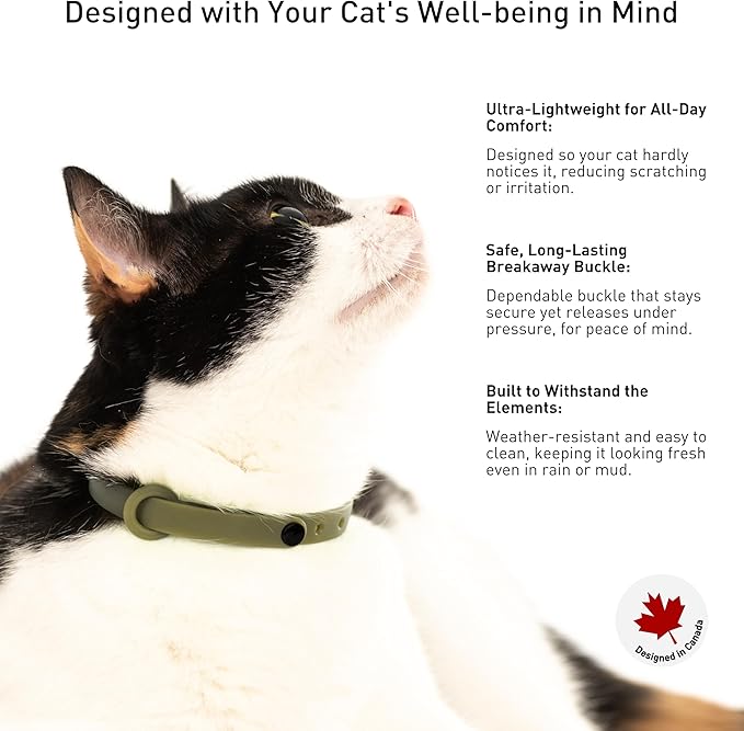 Breakaway Cat Collar - Soft, Comfortable, and Lightweight Safety Buckle Collar with Name Tag Ring for Outdoor Cats and Sensitive Skin Kittens by Nuvuq (6 ⅞" to 10 ¼", Green)