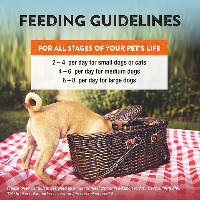 Northwest Naturals Raw Rewards Freeze-Dried Salmon Treats for Dogs and Cats - Bite-Sized Pieces - Healthy, 1 Ingredient, Human Grade Pet Food, All Natural, Proudly Made in USA, 2.5 Oz (Pack of 3)