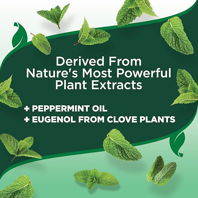 Vet's Best Natural Flea and Tick Home Spray, Dog Flea and Tick Treatment for Home, Plant-Based Flea and Tick Prevention, Dog Flea & Tick Control and Mosquito Repellent, Certified Natural Oils, 14 oz