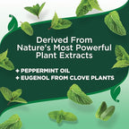 Vet's Best Natural Flea and Tick Home Spray, Dog Flea and Tick Treatment for Home, Plant-Based Flea and Tick Prevention, Dog Flea & Tick Control and Mosquito Repellent, Certified Natural Oils, 14 oz