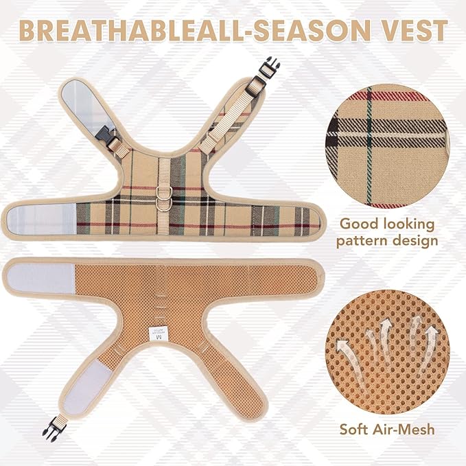 BINGPET Cat Harness and Leash Escape Proof - Soft and Air-Mesh Kitten Travel Walking Harness - Vest Harness for Small Medium Large Cats & Puppy Dog & Rabbit, Medium