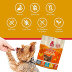 PLATO Mini Thinkers Sticks - Natural Dog Treats - Real Meat - Air Dried - Made in the USA, Chicken Flavor, 3 ounces