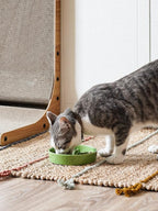 Ceramic Slow Feeder Dog Bowls Small Breed, 0.5 Cups Dog Food Dish for Fast Eaters, Puzzle Bowl for Small Dogs and Cats, 5.5 Inch-Green