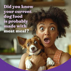 Halo Holistic Dog Food Cage Free Chicken & Brown Rice Formula, Healthy Grains Dry Dog Food, Complete Digestive Health, Kibble for Adult Dogs, 21 lb Bag