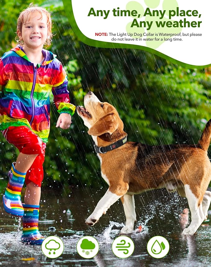 Weesiber Light Up Dog Collar - Glow in The Dark LED Dog Collar Rechargeable Reflective Pet Collar, Safety Doggy Lights for Night Walking(Green, L)