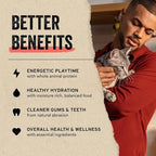 Vital Essentials Freeze Dried Raw Single Ingredient Cat Treats, Chicken Hearts, 0.8 OZ (Pack of 6)