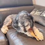 SPOT Dura-Fused Leather Fox Dog Toy – Real Leather & Jute Fabric, Double-Stitched & Durable, Squeaky Interactive Chew Toy for Moderate Chewers, Small & Medium Dogs, Soft Stuffed Fetch Toy, 7.5in