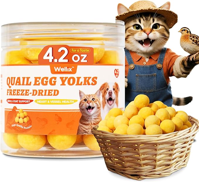 Wellix Freeze Dried Quail Eggs for Cats&Dog Treats - High-Protein Quail Egg Yolk Freeze Dried Cat Treats for Skin&Coat Health - Delicious Training Snacks for Pets 4.2oz