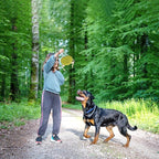 Eco Leather Lily Frog Natural and Tough Dog Toys - Dog Toy for Dogs and Puppy