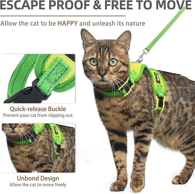PUPTECK Cat Harness and Leash Set Escape Proof, Reflective Adjustable Soft Mesh Kitten Vest Harness for Walking Travel, Green, S