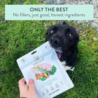 Woof Freeze Dried Dog Food - Chicken Recipe, High Protein, Dog Food Topper & Dog Treats, All Life Stages, 1.76 oz