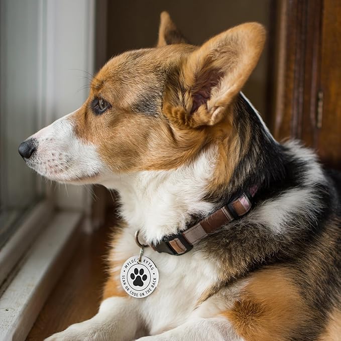 MYLUCKYTAG QR Code Stainless Steel Pet ID Tag - Personalized Online Profile, Location Alert Email, Digital ID, Durable Dog Collar Tag