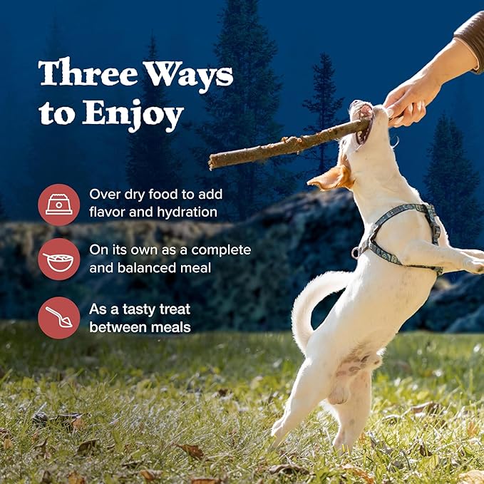 Blue Buffalo Wilderness Adult Wet Dog Food, High-Protein and Grain-Free, Made with Natural Ingredients, Rocky Mountain Recipe Red Meat Paté, 12.5-oz Can (12 count)