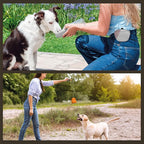 Ultimate Dog Walk & Train Kit - Silicone Dog Treat Pouch - Tug Ball - Portable Water Bottle for Dogs - Ideal Gift for First Time Pet Owners - Training Pouch