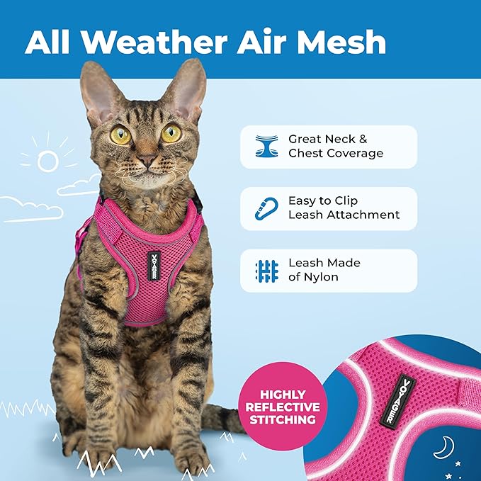 Voyager Escape-Proof Step-in Lock Cat Harness & 5ft Neoprene-Handle Leash Set All-Weather Mesh with Reflective Stitching for Small to Large Cats by Best Pet Supplies, Fuchsia (327), XXS