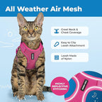 Voyager Escape-Proof Step-in Lock Cat Harness & 5ft Neoprene-Handle Leash Set All-Weather Mesh with Reflective Stitching for Small to Large Cats by Best Pet Supplies, Fuchsia (327), XXXS