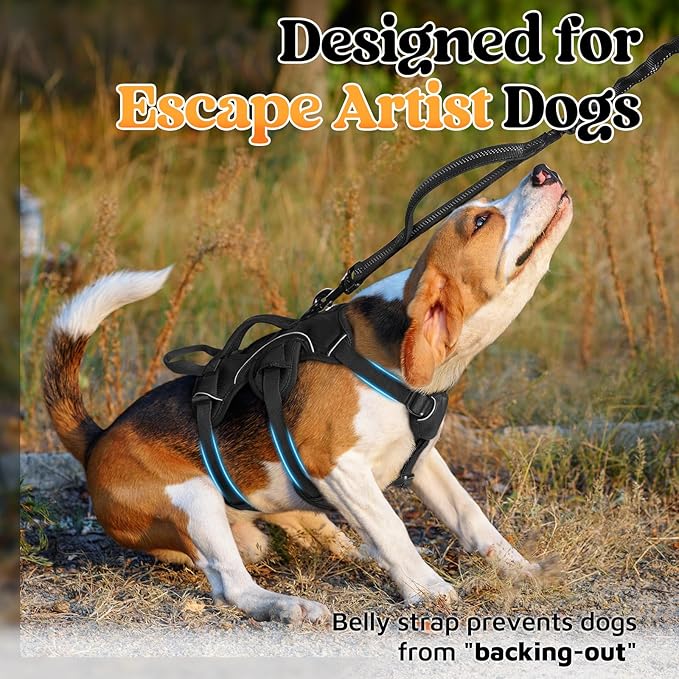 rabbitgoo Escape Proof Dog Harness, Soft Padded Full Body Pet Harness, Reflective Adjustable No Pull Vest with Lift Handle and Leash Clip for Large Dogs Walking Hiking Training, S, Black