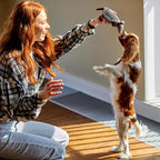 Hollypet Plush Dog Squeaky Toy Stuffed Armadillo Animal Pet Puppy Chew Toys with Clean Teeth for Small Medium Large All Breed Sizes Dogs, Gray, 8 in